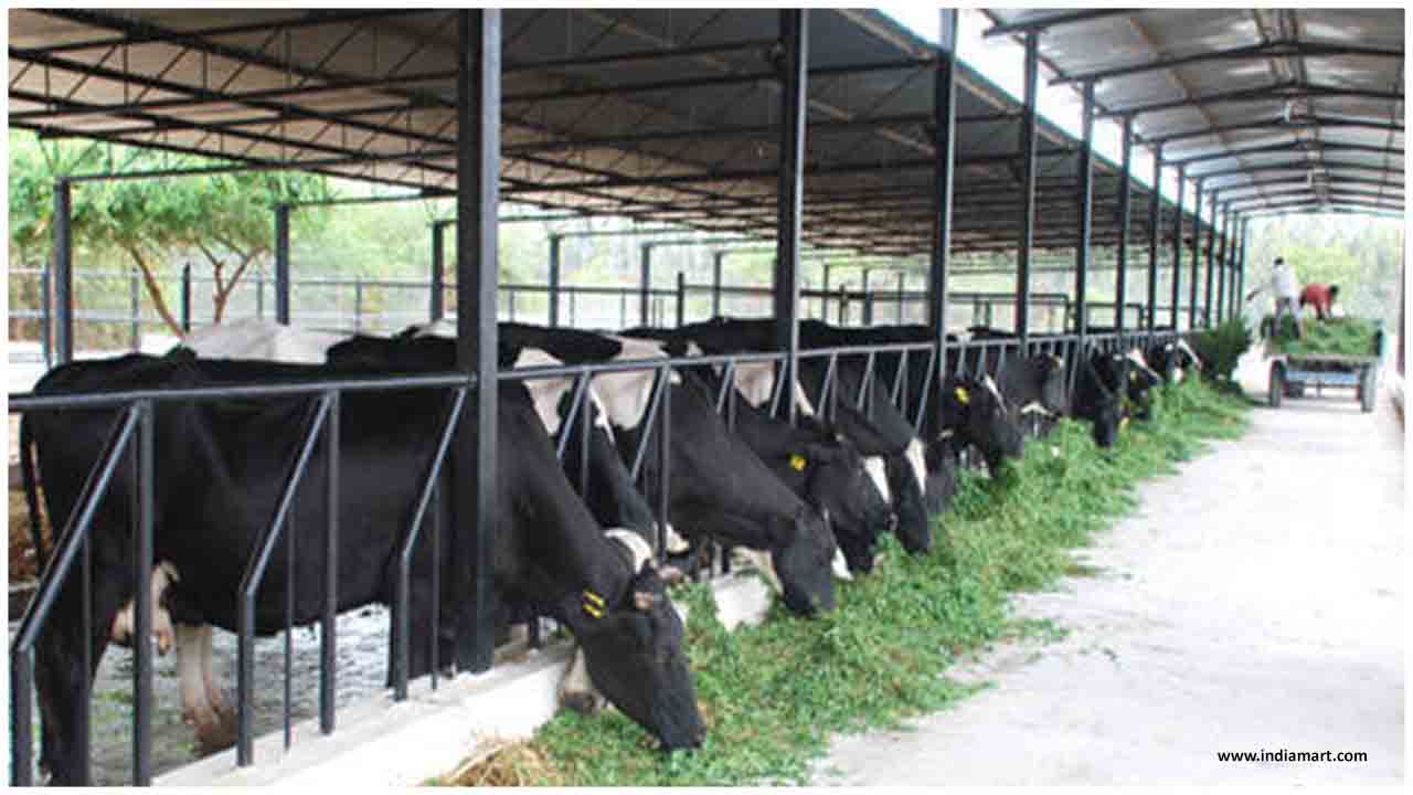 Dairy Sector Gets Interest Subvension Due to Lockdown